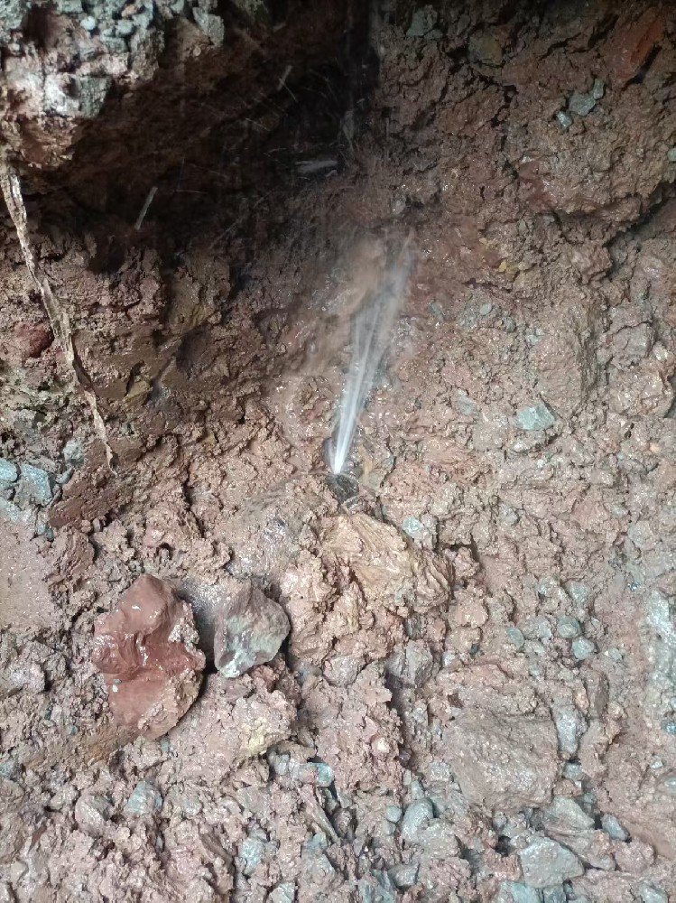 平舆县本地服务：自来水管漏水检测维修